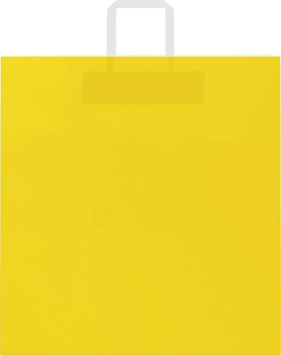 Produktbild vidaXL Papiertragetasche (250x)