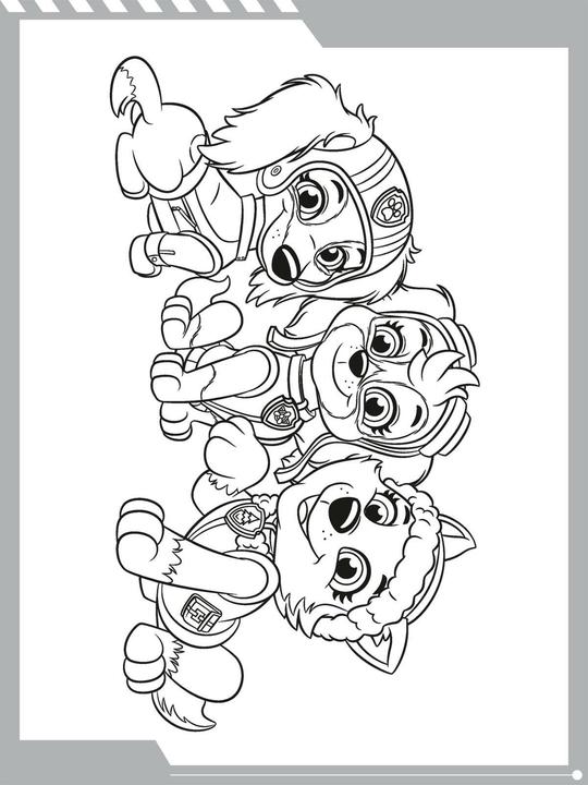 Actual product image PAW Patrol Kindergartenheft: Malspass mit den Fellfreunden