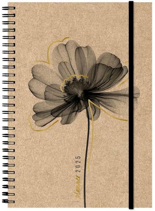 Image du produit Simplex Harmony (14.8 x 21 cm, Allemand)