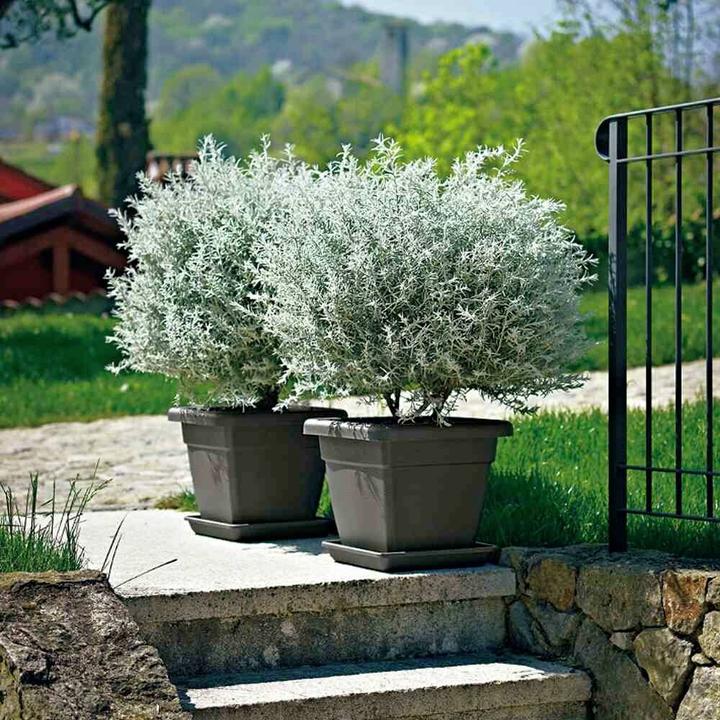 Actual product image Euro3plast Crea (46 cm)