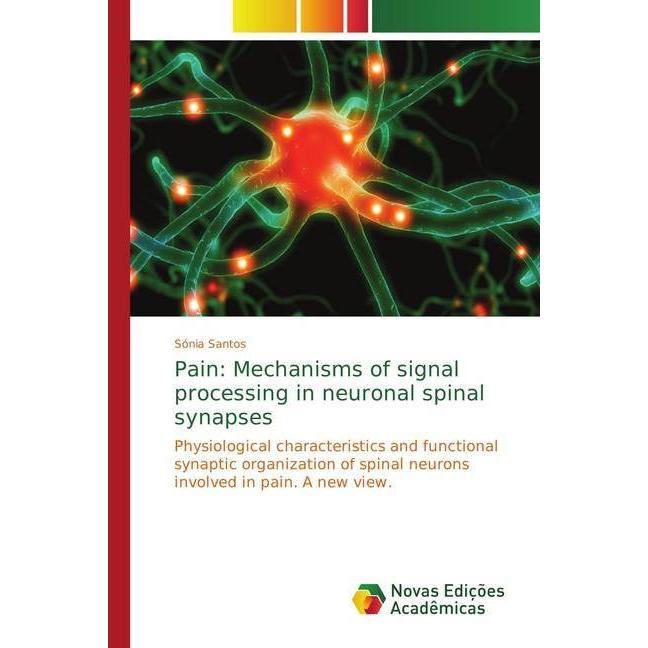 Pain: Mechanisms of signal processing in neuronal spinal synapses, Fachbücher von Sônia Santos