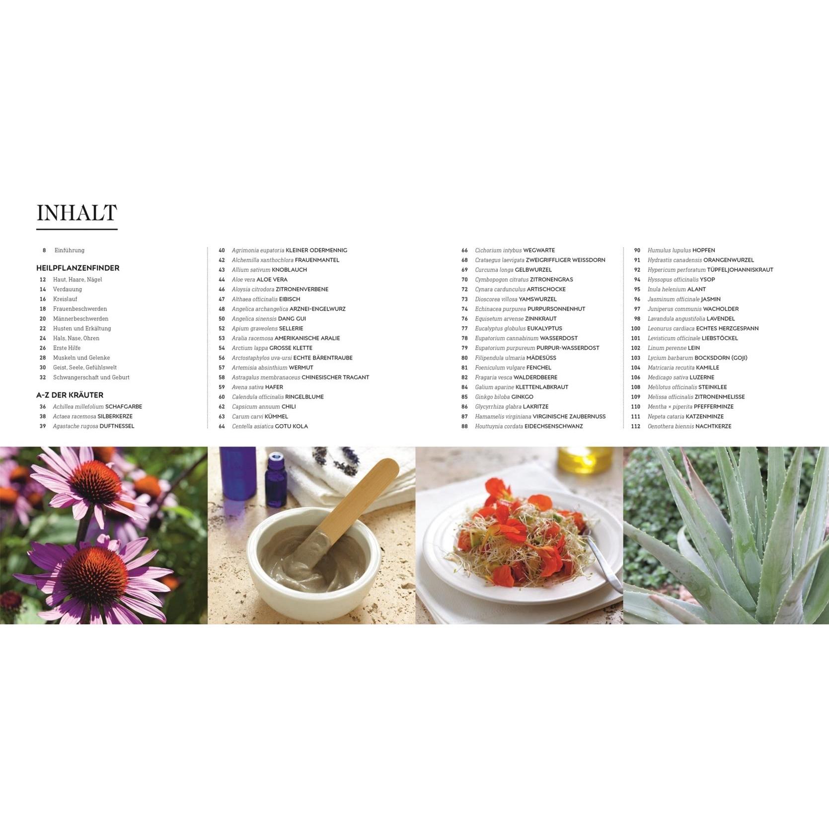 Thumbnail - Das neue Praxisbuch Heilpflanzen, Ratgeber von Susan Curtis