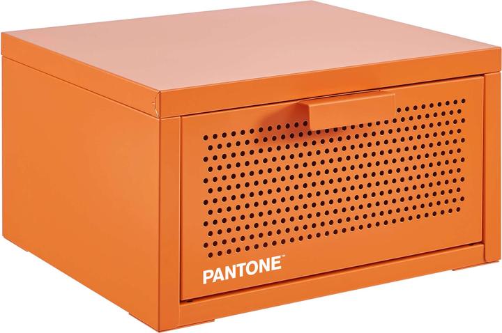 Actual product image Pantone Pantone (35 x 35 x 22 cm)
