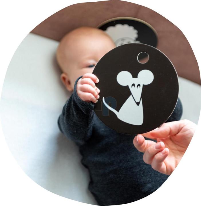 Actual product image Hanniline Contrast maps (German)