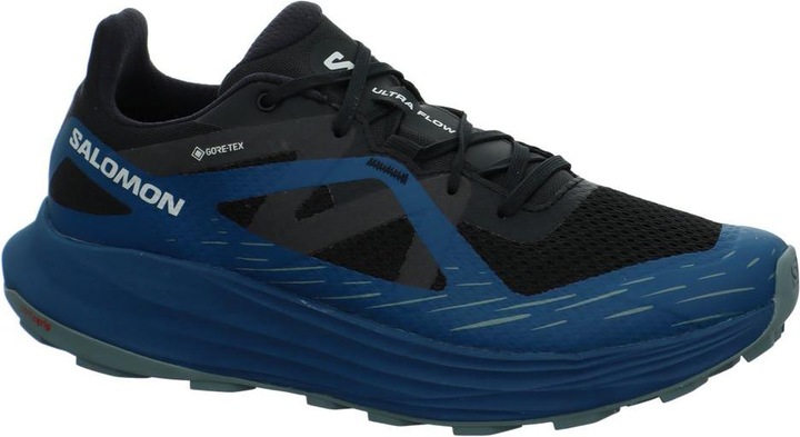 Actual product image Salomon Ultra Flow GTX (46 2/3)
