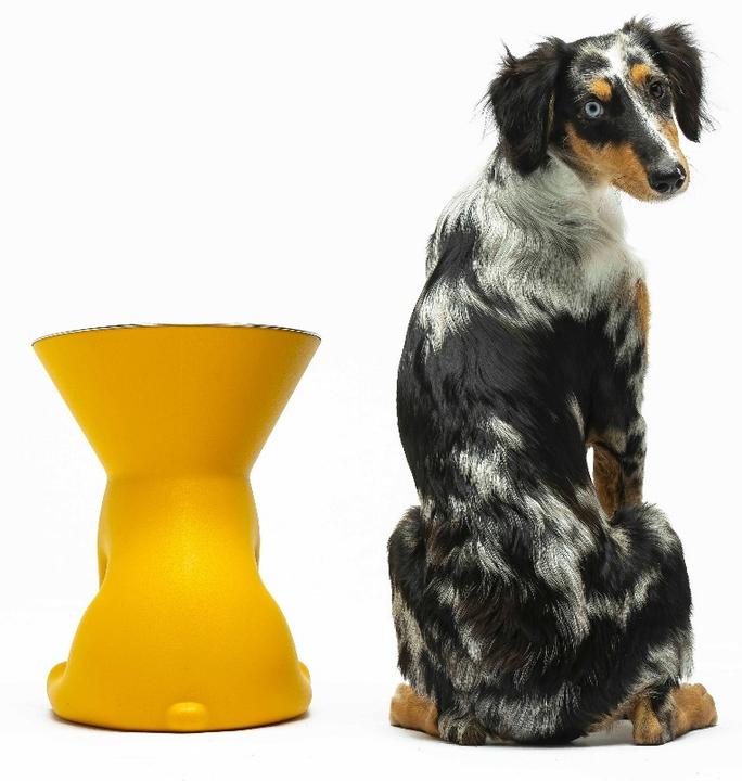 Image du produit United Pets Elizabeth (110 cl)