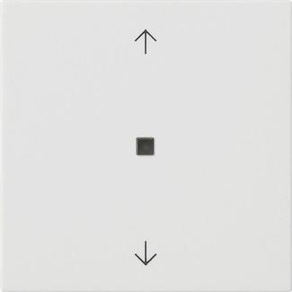 Actual product image Gira 538227 S3000 Operating top. BT Arrows