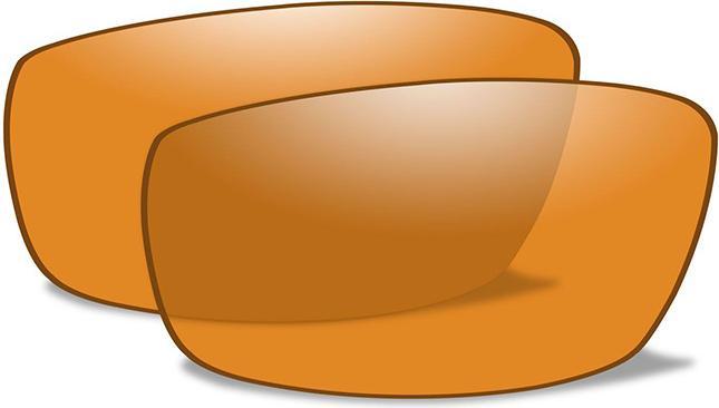 Wiley X Guard Advanced