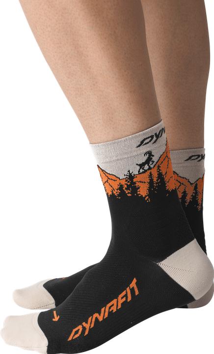 Immagine prodotto Dynafit Traverse Mid (35 - 38)