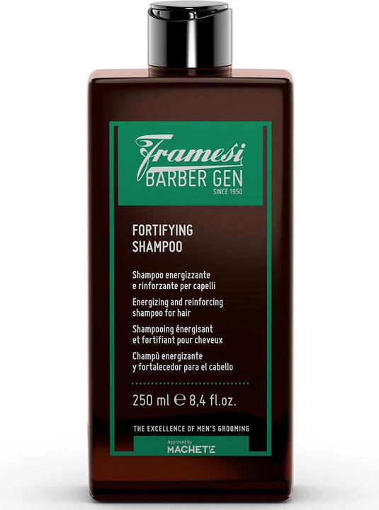Actual product image Framesi BARBER GEN Fortifying Shampoo (Liquid shampoo, 250 ml)