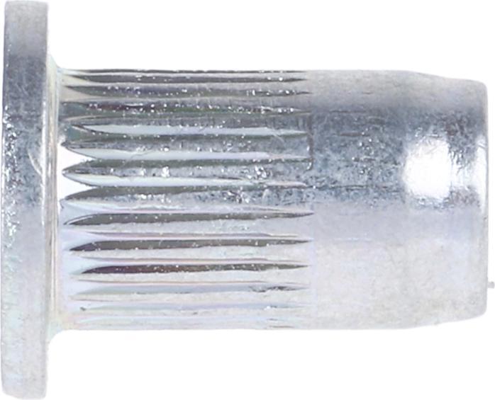 Productafbeelding RS PRO Klinkmoeren met grote kop M4