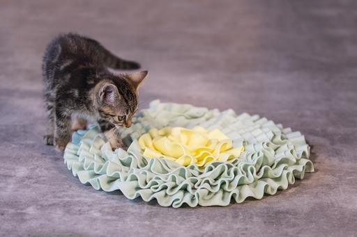 Actual product image Beeztees Bz Kitten Flowi Snapmat (Cat food toy)