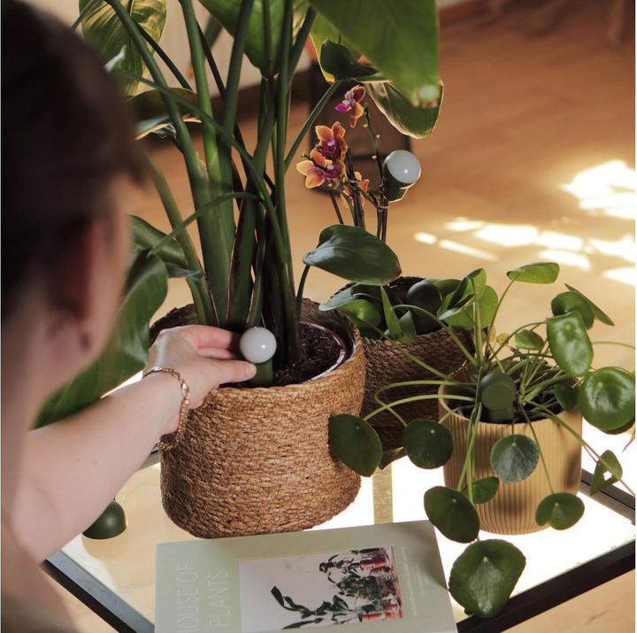 Image du produit FYTA Tropfer-Set Starter (Kit d'irrigation goutte à goutte)