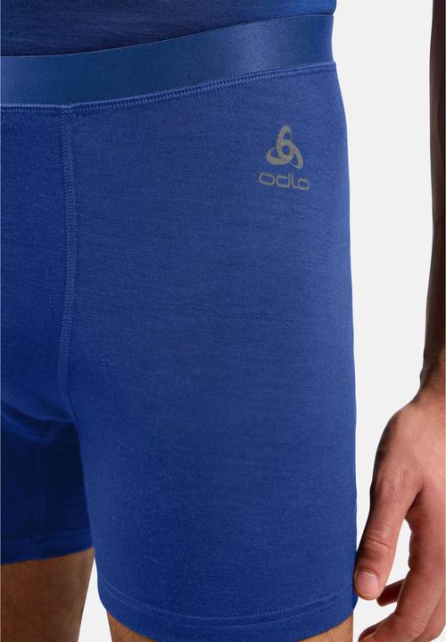 Immagine prodotto Odlo MERINO 160 (S)