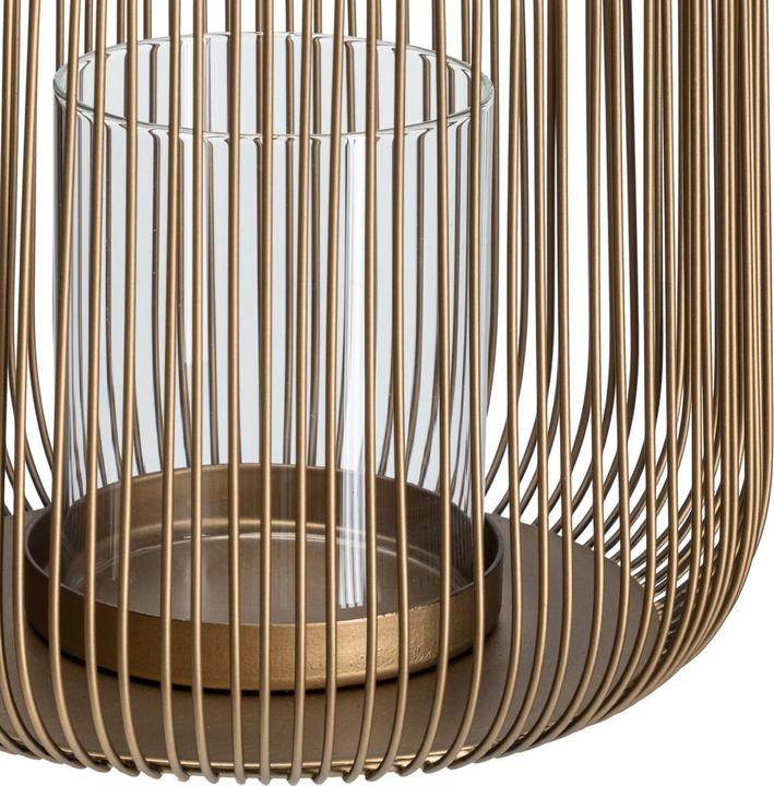 Immagine prodotto Johann Jakob Auri