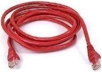 Actual product image Synergy 21 Patch cable (S/FTP, CAT6, 0.25 m)