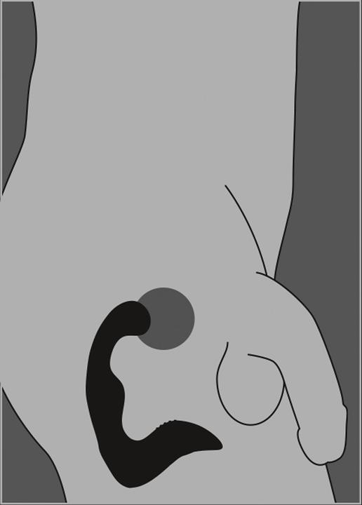 Produktbild Rebel Protatavibrator