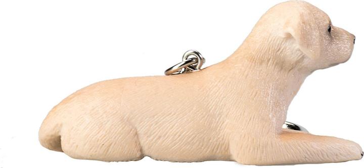 Actual product image Labrador
