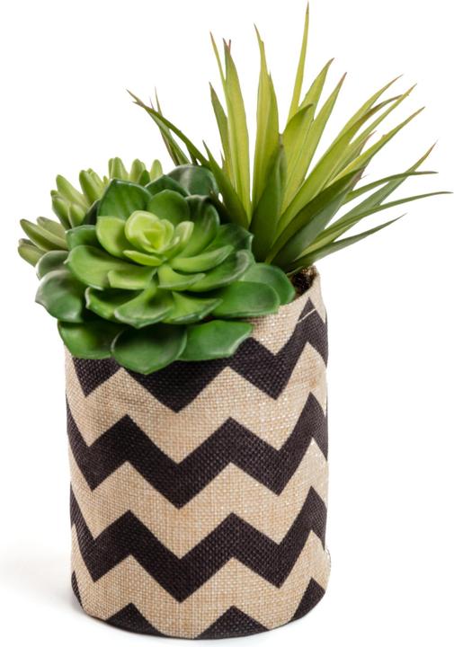 Kave Home Suculenta (23 cm)