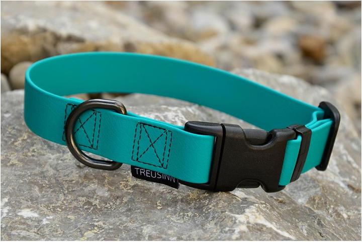 Immagine prodotto Treusinn. Collare per cani Biothane STAY (S, Cane, Generale)