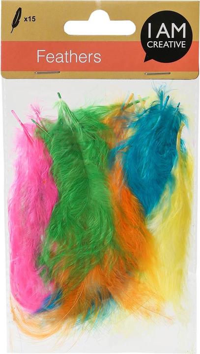 Actual product image I Am Creative Fluffy feathers