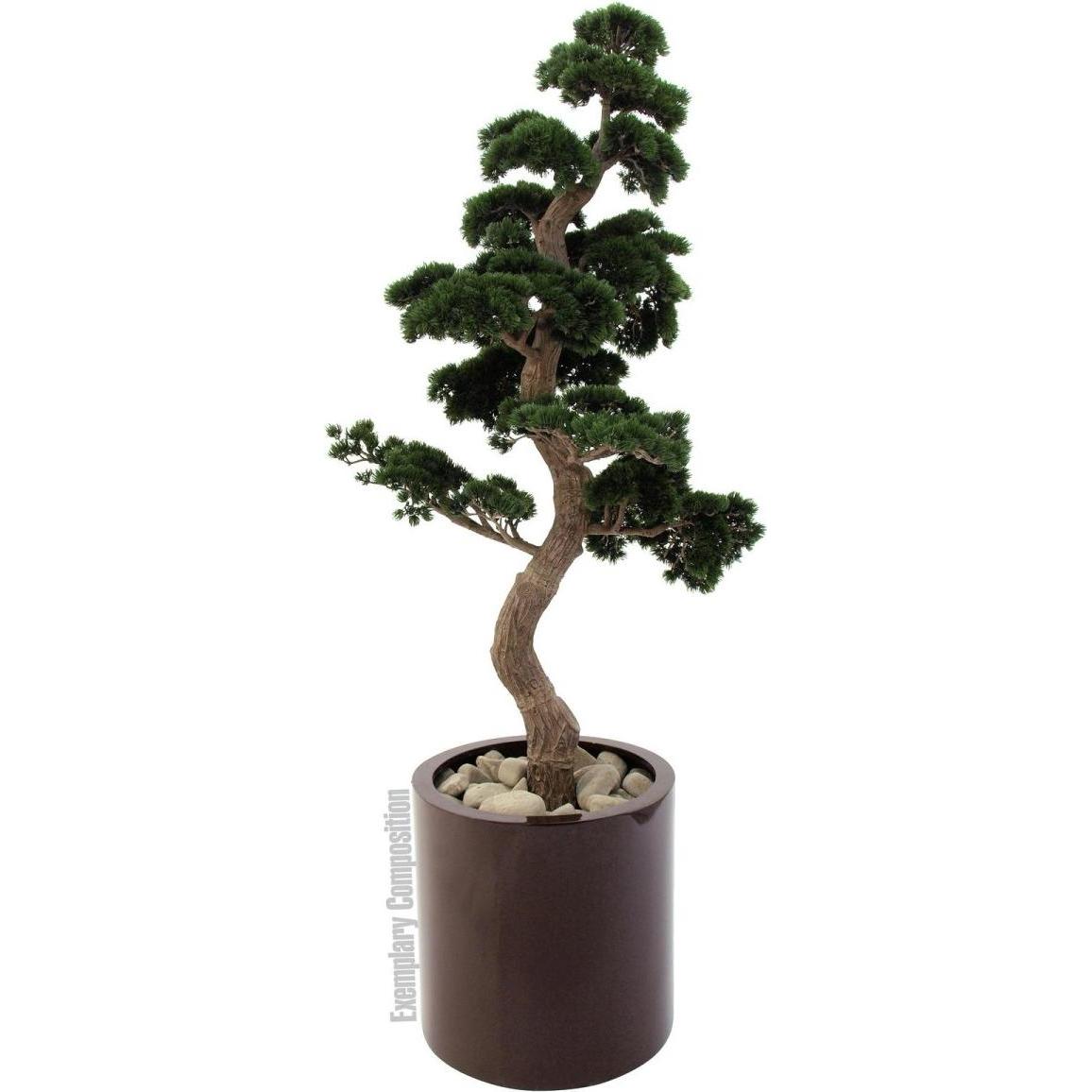 Thumbnail - Europalms, Bilderrahmen, LEICHTSIN TOWER-50, rot, glänzend