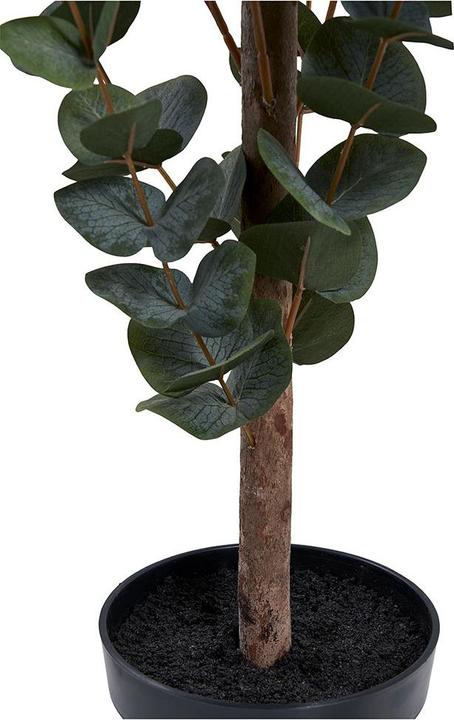 Actual product image House Nordic Eucalyptus (120 cm)
