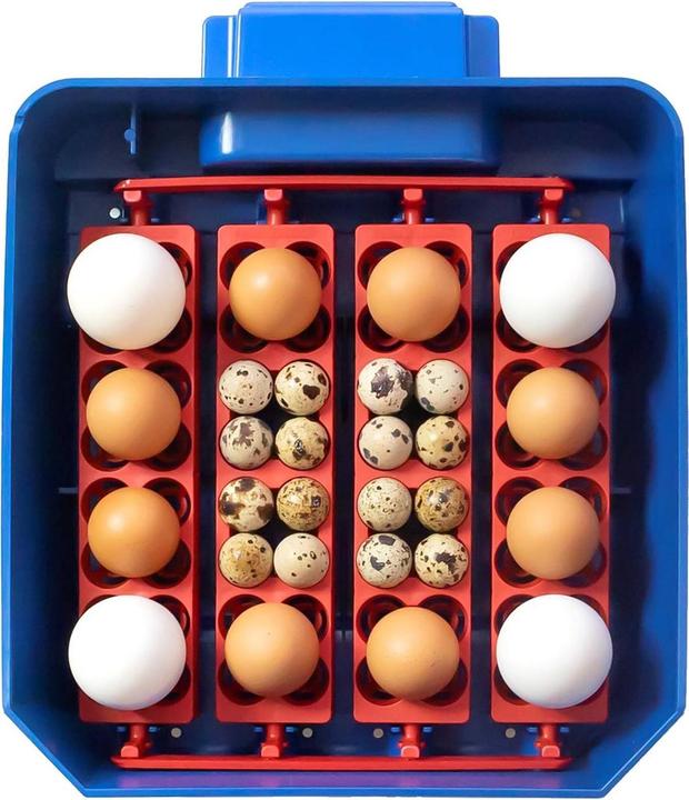 Produktbild APS Brutapparat 16 Eier Wasserspender vollautomatisch Brutmaschine Brutautomat