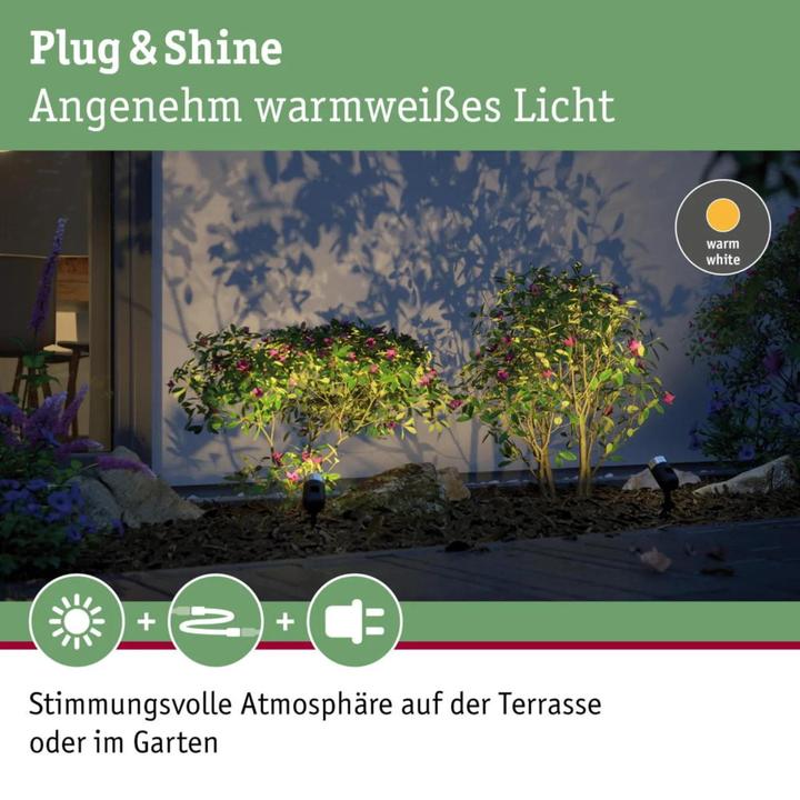 Productafbeelding Paulmann Plug & Shine Basisset Snoek (240 lm, IP65)