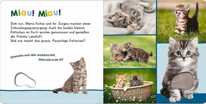 Actual product image Hör mal rein, wer kann das sein? – Meine ersten Tiere (German)