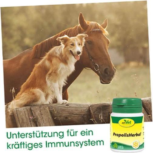 Actual product image cdVet PropolisHerbal (Adult, 1 pcs., 20 g)
