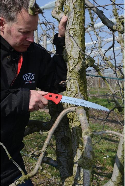 Actual product image Felco Tree Saws