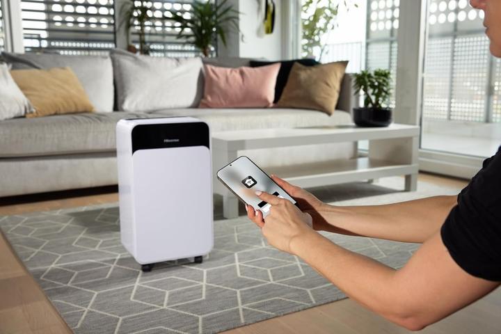 Image du produit Hisense D12CW (25 m², 12 l/24h)