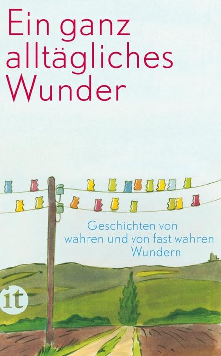 Produktbild Ein ganz alltägliches Wunder (Deutsch, 2014)