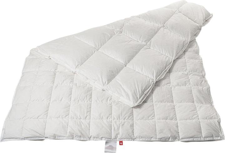 Image du produit Duvetsuisse 4-Seasons Duck Basic (800 g, Duvet, 200 x 135 cm)