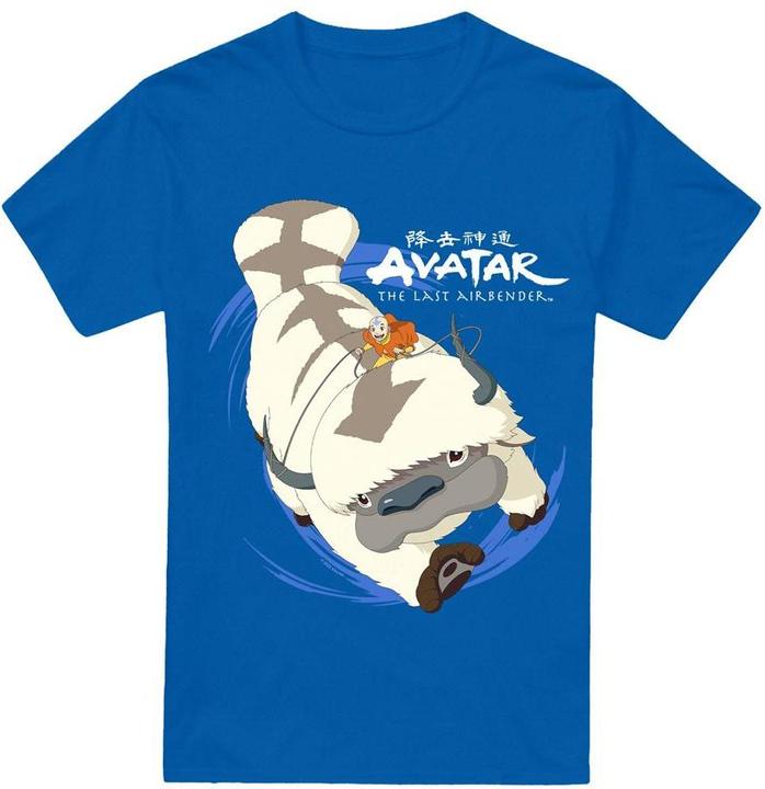 Image du produit Avatar: The Last Airbender - T-shirt IN FLIGHT - Homme (L)