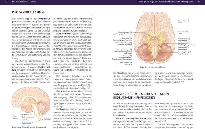 Produktbild Fair:Die Neurowissenschaft hinter Yoga (Deutsch, Brittany Fair, 2024)