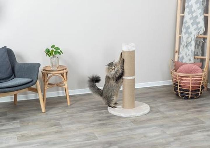 Image du produit Trixie Rue (80 cm, Beige)