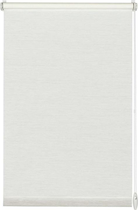 117 White