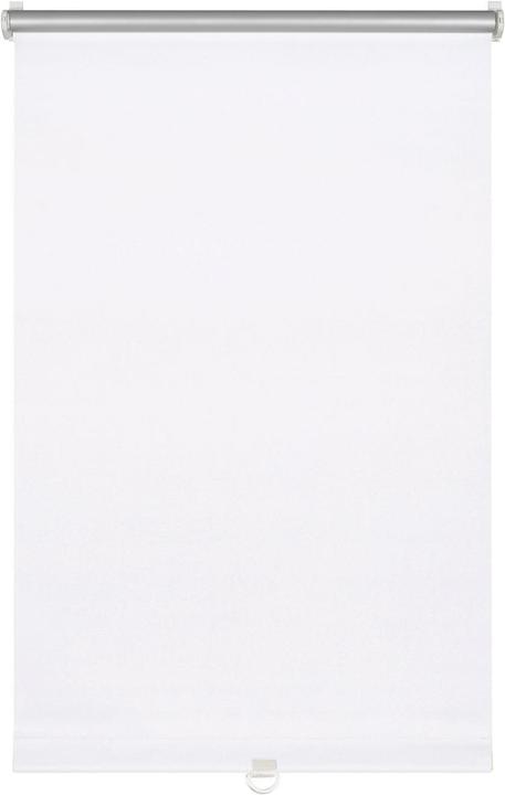 Immagine prodotto Gardinia Tenda a rullo morbida (45 x 150 cm)