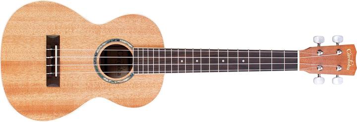 Actual product image Cordoba 15TM (Tenor)