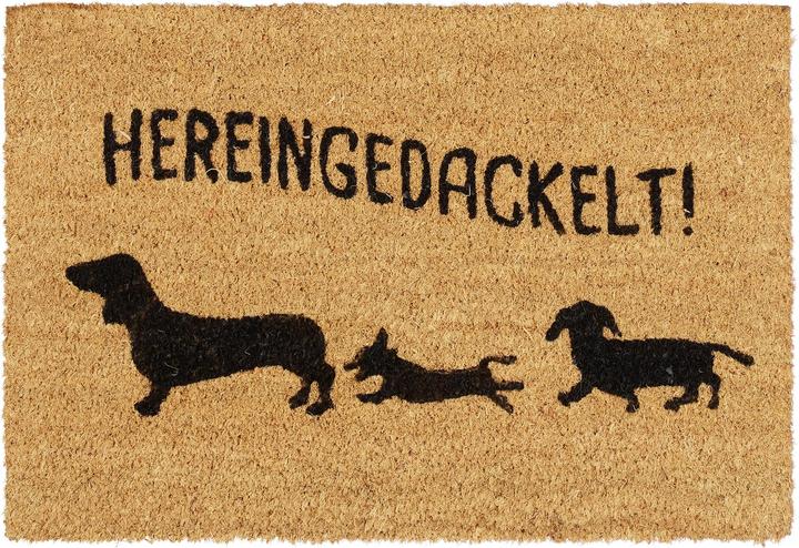 Relaxdays Tapis de sol (60 x 40 x 1,5 cm)