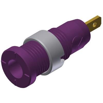 SKS MSEB 2610 F 2,8 Au Sicherheits-Laborbuchse Buchse, Einbau vertikal Stift-Ø: 2 mm Violett 1 St., Elektronikkabel + St...