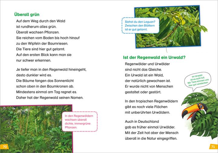 Produktbild Tessloff WAS IST WAS Erstes Lesen Doppelband 3.Vulkane/Regenwald (Deutsch, Christina Braun, Antonia Griebel, Marie Gerstner, 2024)