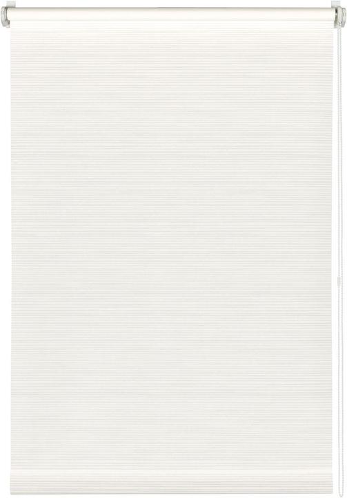 Image du produit Gardinia Rayures (60 x 150 cm)