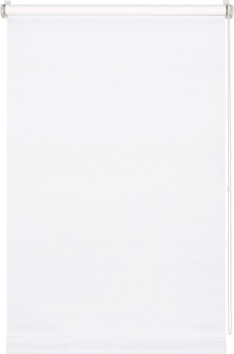 Produktbild Gardinia Tageslicht (60 x 150 cm)