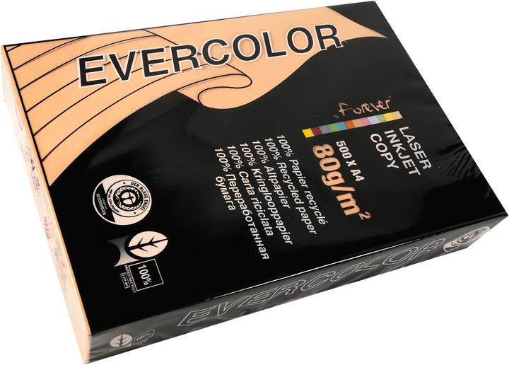 Produktbild Clairefontaine Recyclingpapier Evercolor lachs DIN A4 80 g/qm 500 Blatt (80 g/m², 500 x, A4)