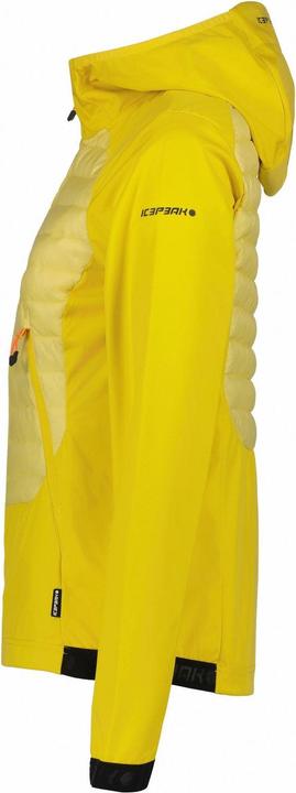 Image du produit Icepeak Deerton (44)