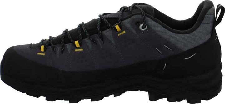 Immagine prodotto Salewa Alp Trainer 2 GTX (44.5)