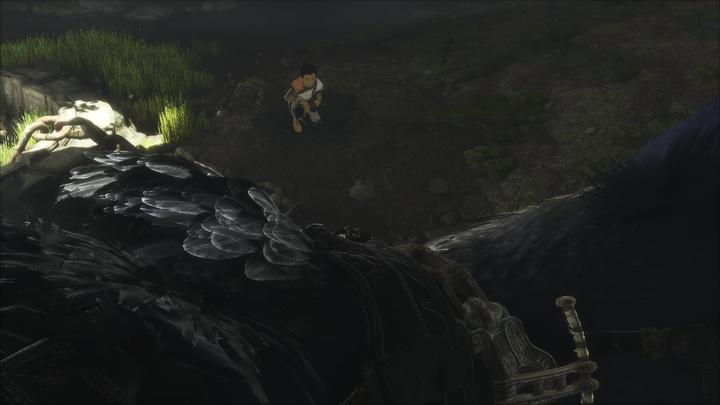 Image du produit Sony The Last Guardian (PS4, Multilingue)